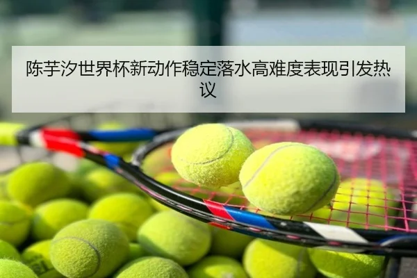 陈芋汐世界杯新动作稳定落水高难度表现引发热议