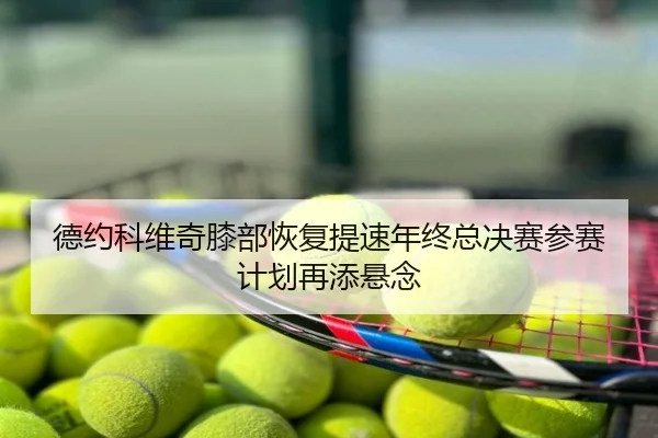 德约科维奇膝部恢复提速年终总决赛参赛计划再添悬念