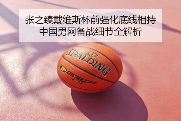 张之臻戴维斯杯前强化底线相持 中国男网备战细节全解析